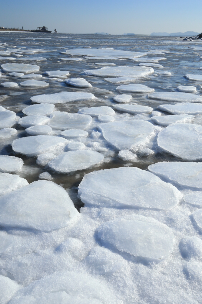 爱上旅顺这座城,爱上大连这座城市