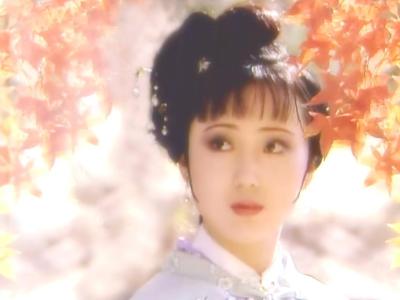 红楼梦中12金钗有没有袭人,红楼梦中12金钗指的是