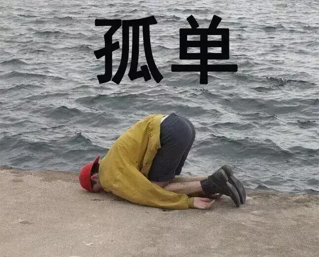 你的2017是什么样子,你的2017这一年总结