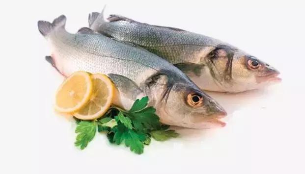 吃鱼变聪明,吃鱼变聪明需要多久