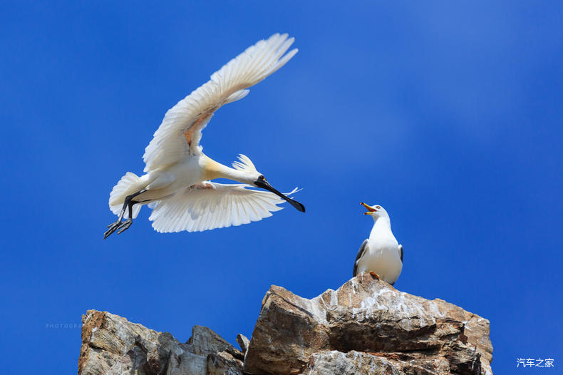 家乡之美美篇,家乡之美原唱完整版