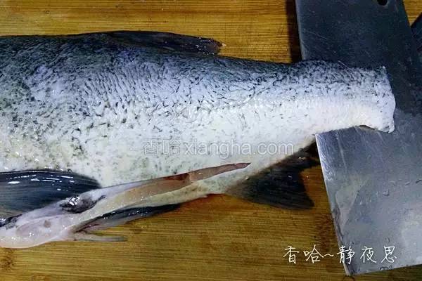 罗非鱼剔鱼骨切鱼片技巧,如何去鱼骨切鱼片视频