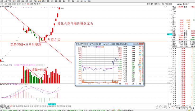 布局旅游股,布局消费股