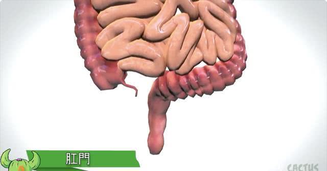 人体最脏的十大部位是哪,人体最脏的4个部位