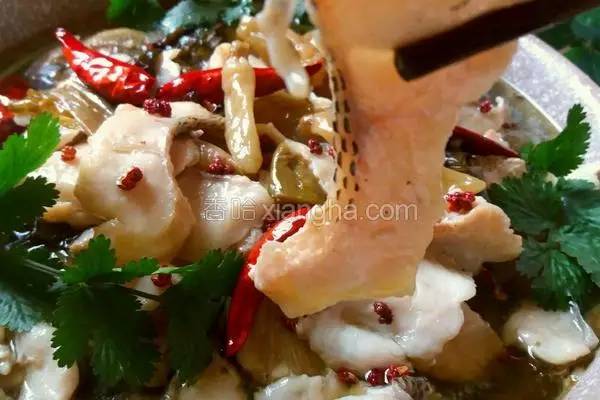 罗非鱼剔鱼骨切鱼片技巧,如何去鱼骨切鱼片视频