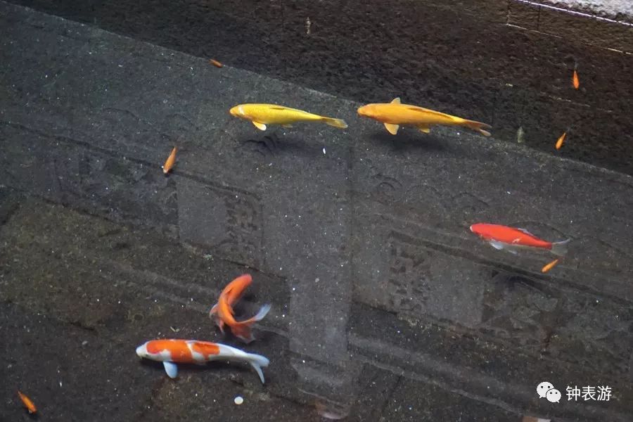 德国顶级机械表朗格,德国经典朗格表