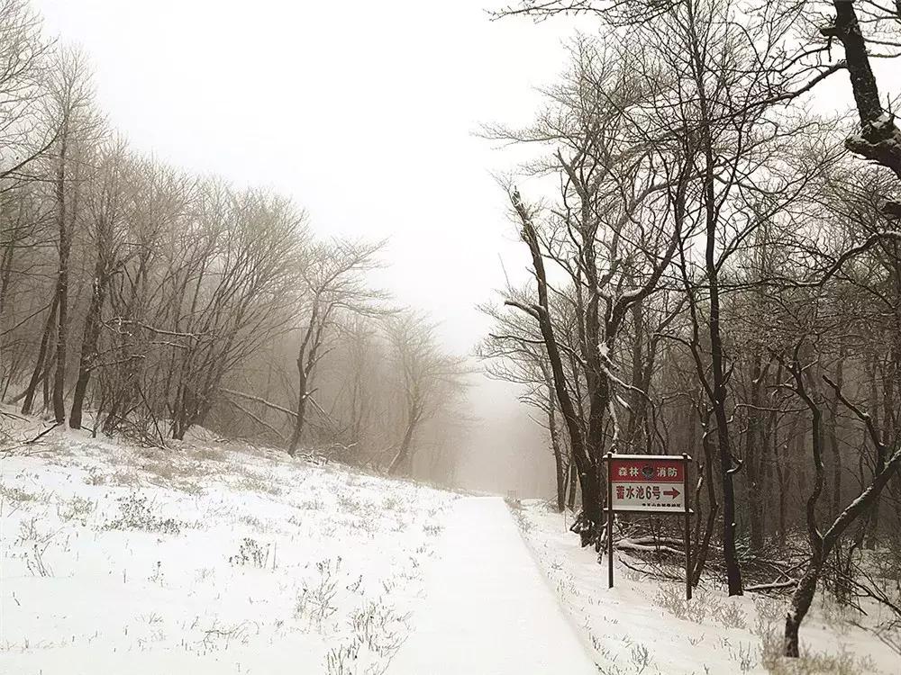 青山为伴！他在安吉龙王山留下的脚印，可绕地球一圈有余