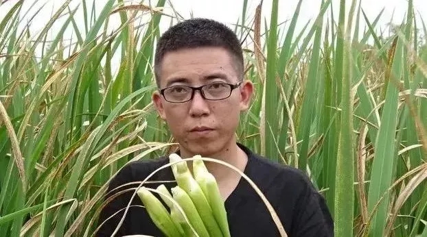 2017终极干货！欢子、猪倌、9妹……百万流量大咖运营攻略都给你！