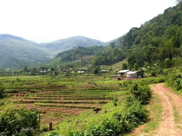 小镇上的酿酒大师万全林，看他如何成就了“石库门”老酒