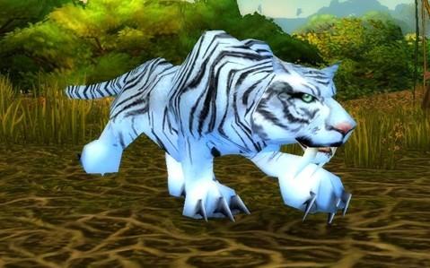 魔兽怀旧服猎人10级的在哪抓宠物,魔兽世界怀旧服tbc猎人宠物加血宏