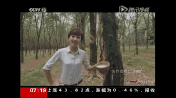 泰国皇家的乳胶怎么样,泰国正宗乳胶床垫怎么甄别