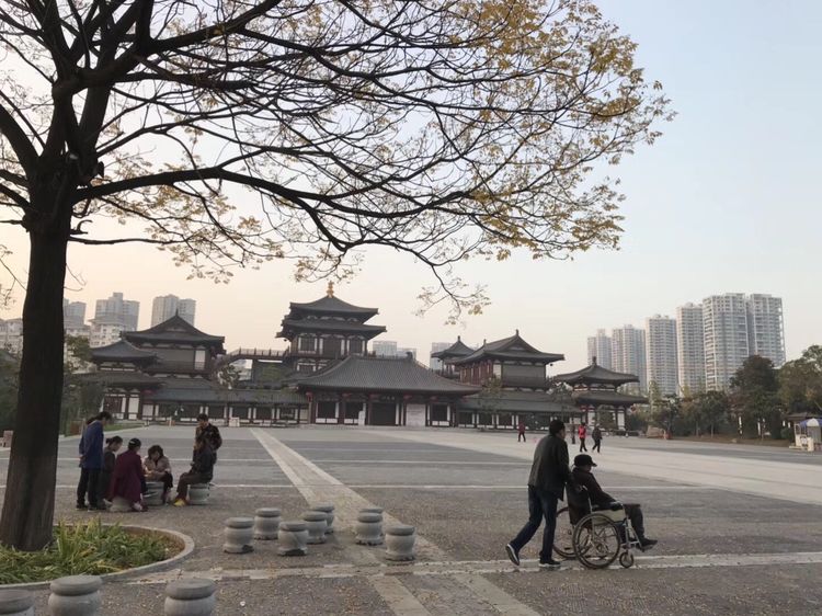 一个手机摄影师,一个摄影师日常记录生活