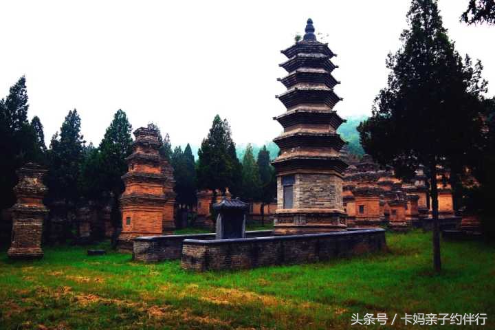 干货收藏150例,干货收藏5分钟