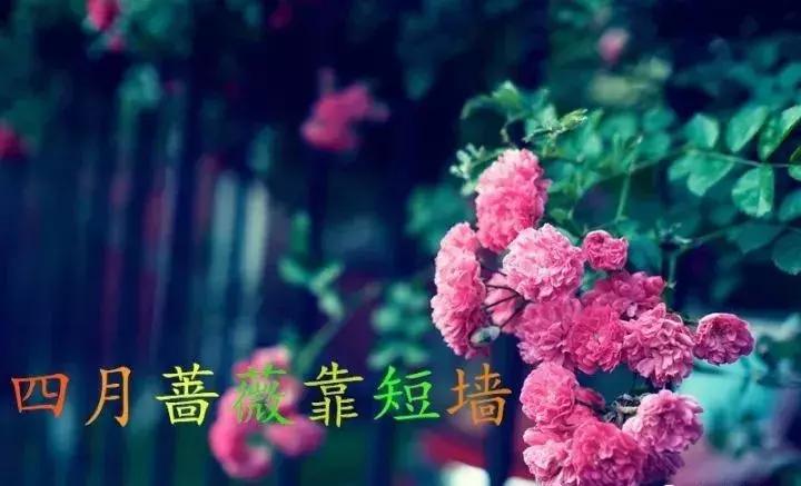 2021绝版绝美挂历,2018精美挂历有吗