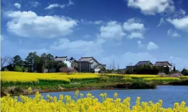 留在高淳还是去南京,在南京一定要去高淳吗