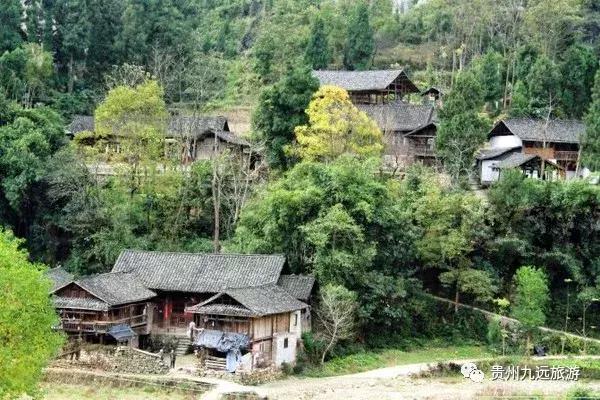 佛顶山村,佛顶山尧上古寨人多吗