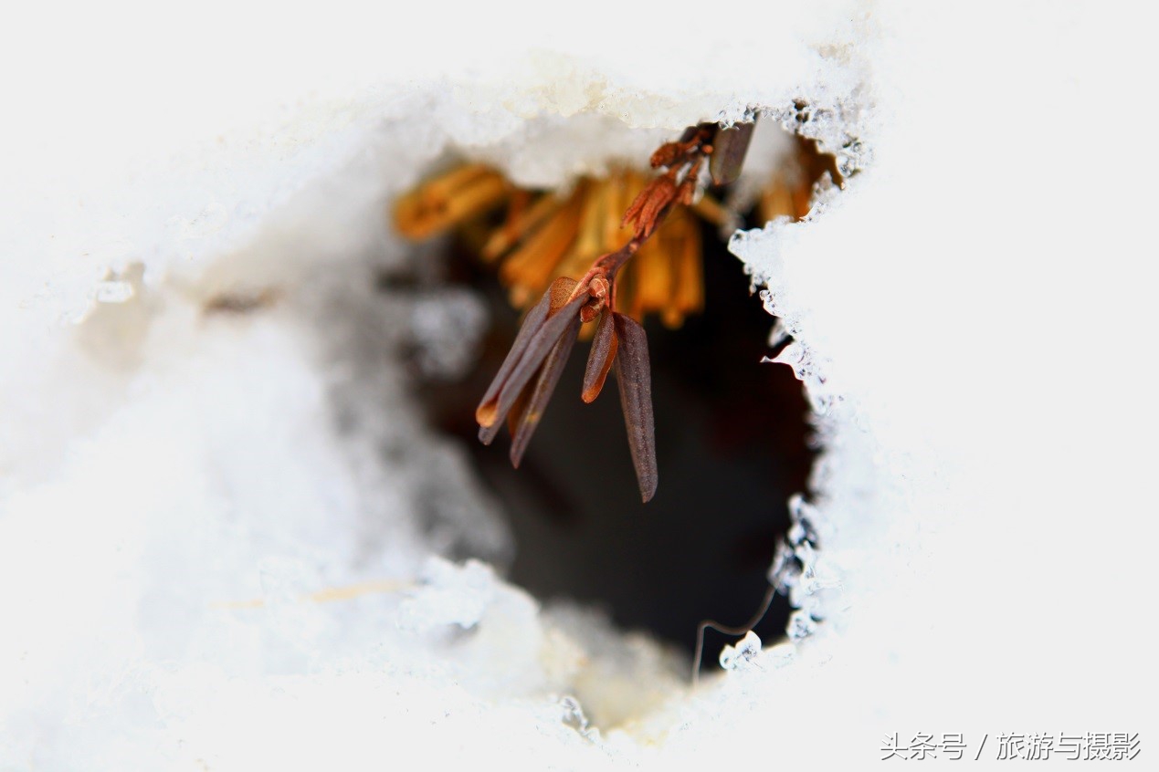 怀旧与浪漫的街景,小樽唯美风景