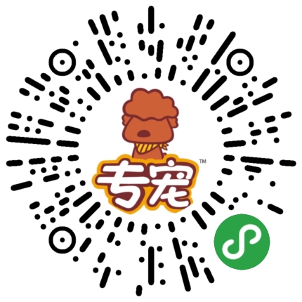 小体泰迪适合新手养,新手养泰迪入门教程