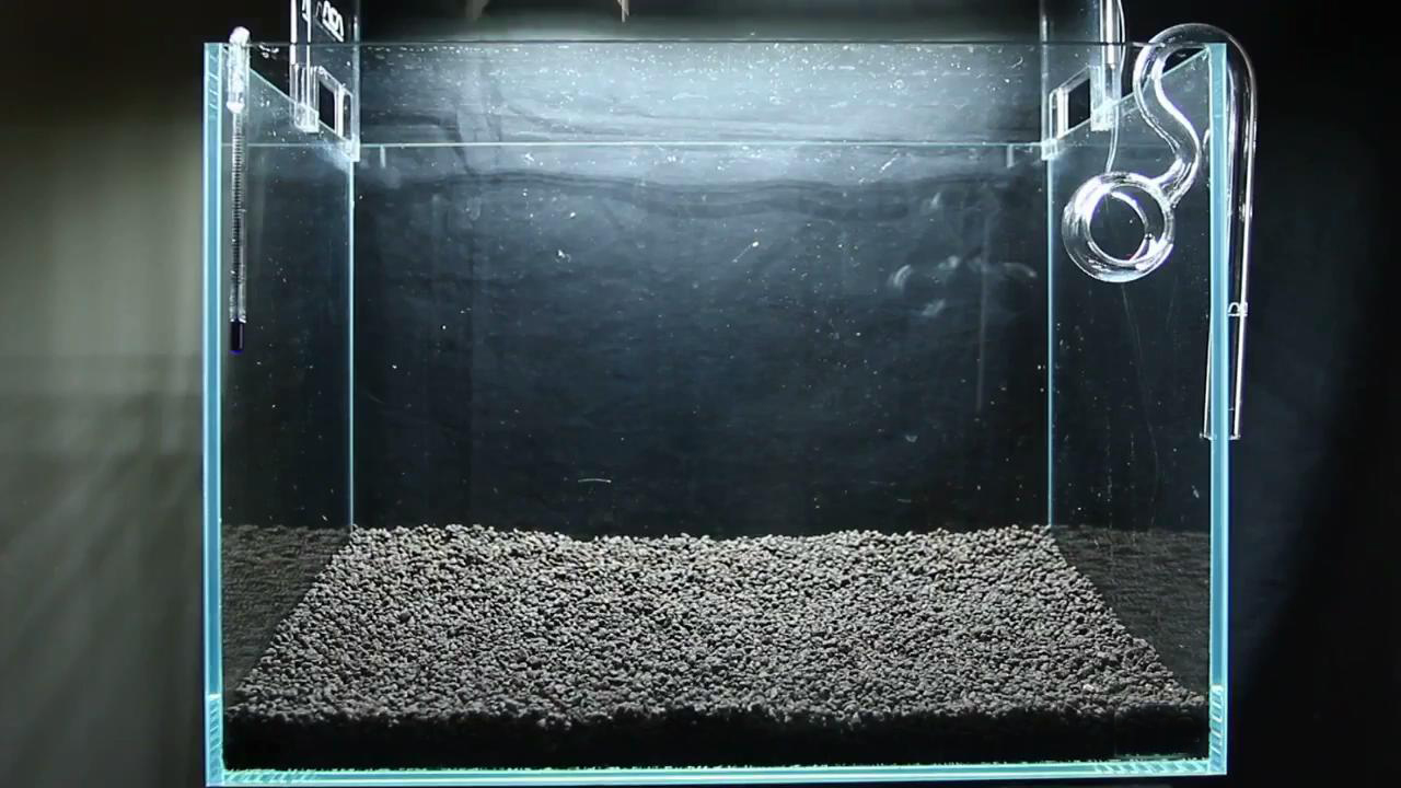 最简单的成品草缸,草缸的制作过程