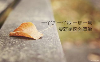 十二生肖属狗人今年的运气,十二生肖狗2018