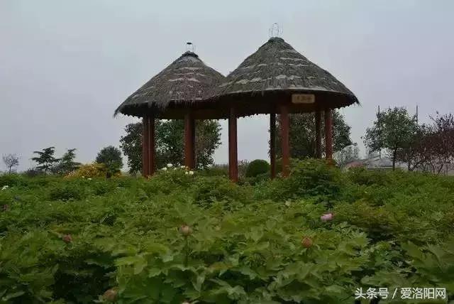 「寻津」孟津这个名镇藏着大秘密，曾被誉为“小洛阳”！如今……