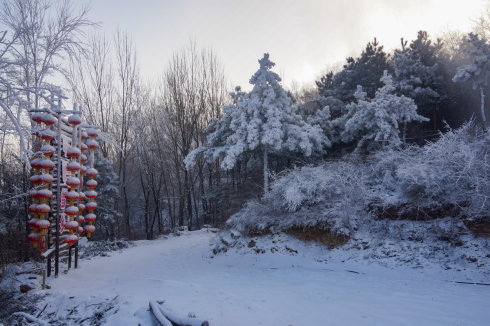 中原区有雪吗,中原雪乡在哪里