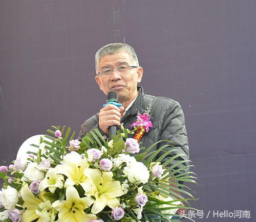 高盛家居官方旗舰店,高盛家居专卖店