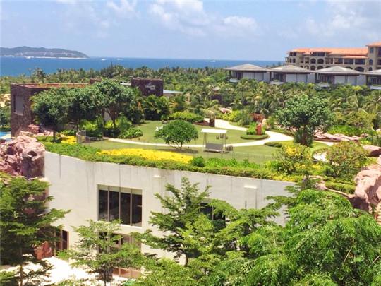 带着一家子来海边,带着一家子去旅游