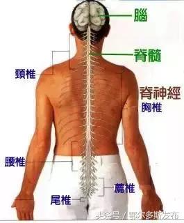 用你的双手拍走你的疾病，就是这么简单！