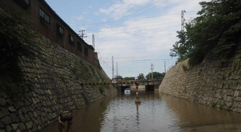 开宝马撞人男子获刑,石家庄小伙开宝马被撞