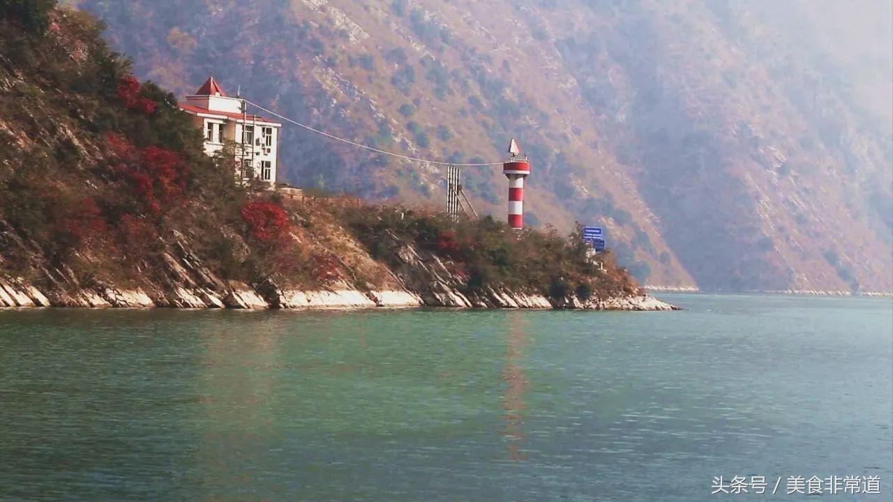 正宗的巫山烤鱼在哪,巫山县正宗烤鱼