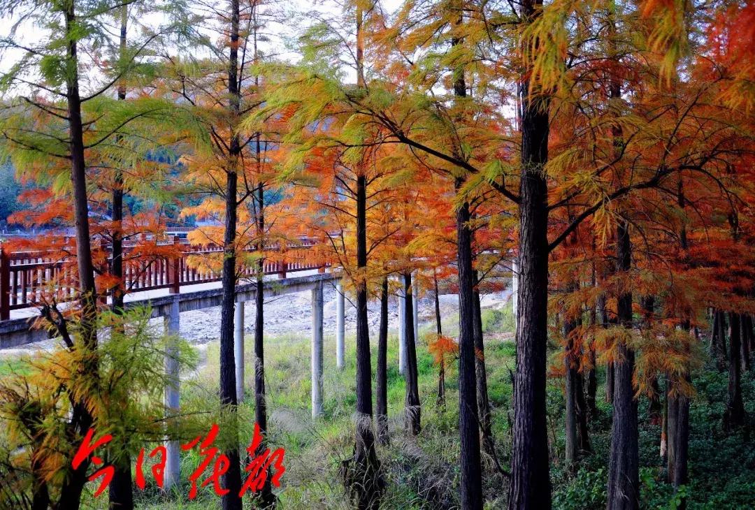 花都芙蓉嶂旅游景点,花都芙蓉嶂夜景