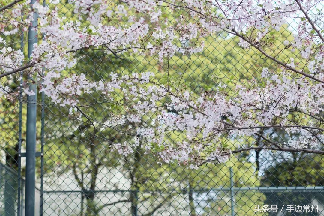 挥别2019喜迎2020,挥别2018