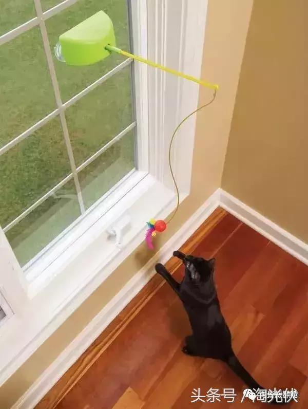 无处不在的光伏应用,光伏未来的应用