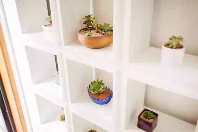 这栋小桥流水的民宿——“眷舍”