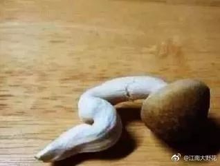 水暖工程师专业,相信我我是工程师