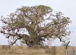 德国玛堡壁纸高清图片,德国玛堡壁纸是什么档次