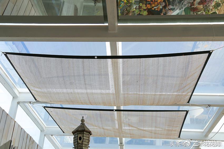 阳光房建设,怎样建造阳光房