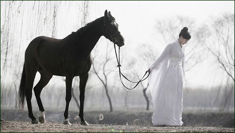 人生感悟语录洗洗睡吧,人到中年早把一切看淡