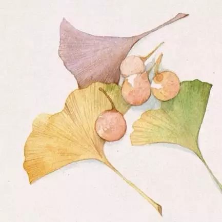 碧云天黄叶地文字图,碧云天黄叶地秋色连波全诗