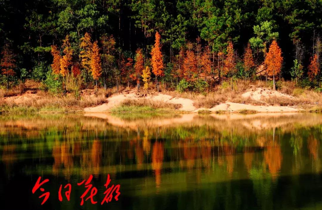 花都芙蓉嶂旅游景点,花都芙蓉嶂夜景