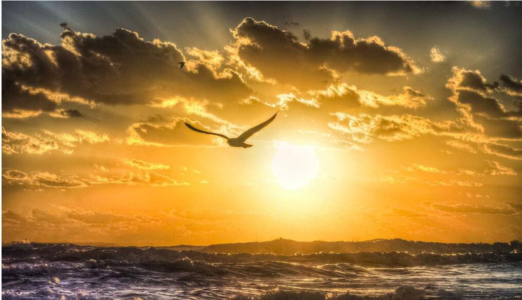 阿国网络随笔：什么项目好搞，什么流量好弄？