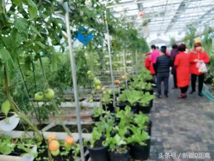 阜康五江温泉城度假城,新疆温泉县旅游攻略一日游