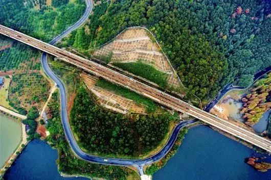 新的一年,蔡甸这些东西统统免费!不知道你就亏大了!