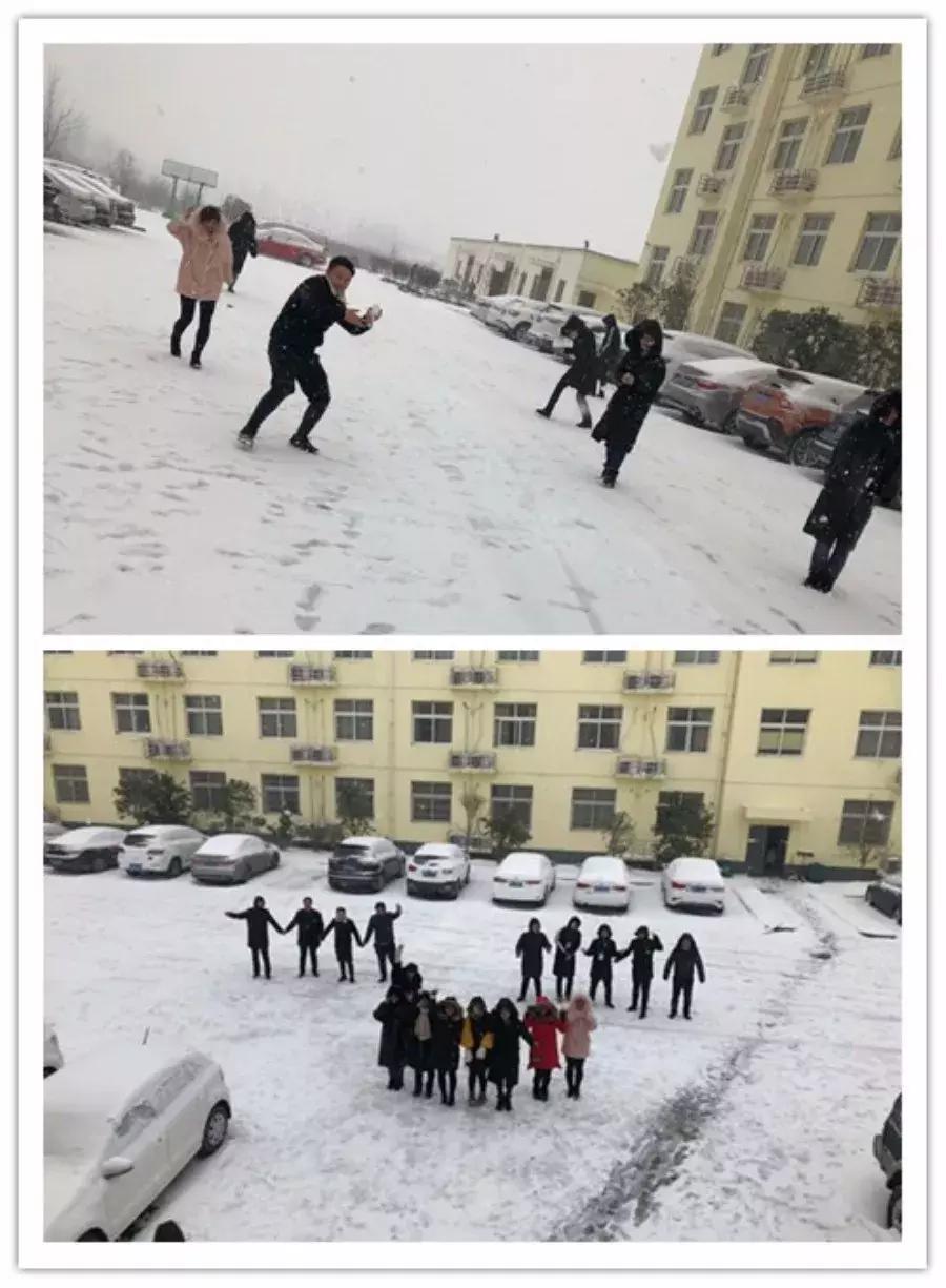 雪中美景雪景,雪中银装素裹美如画