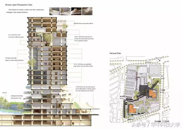 「华中大美人志」美人如婳—李婳