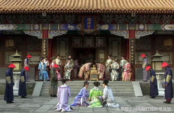 甄嬛传红花是什么药,甄嬛传中太医把脉就能判断怀孕