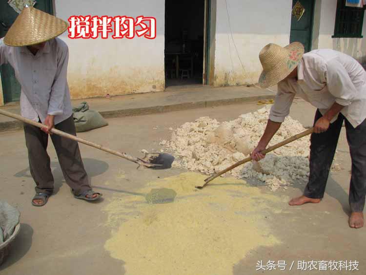 豆渣一吨多少钱,豆渣发酵后多少钱一吨
