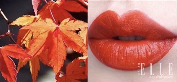 美妆春考,美妆考试全国卷