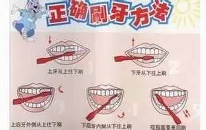 想通过矫正牙齿来拔第五颗龋齿,日本修复牙齿的牙膏真的管用吗